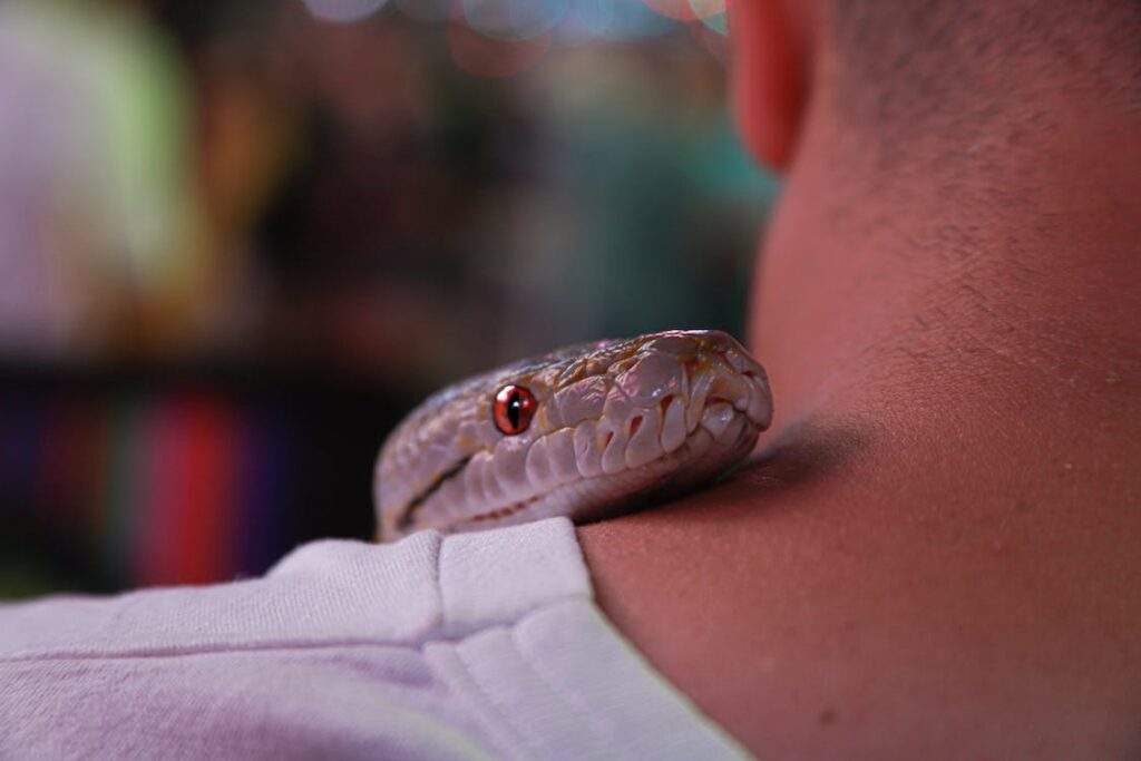 A pet snake on a guy's shoulder