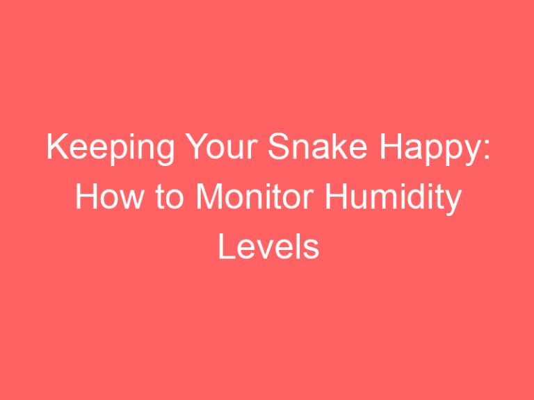 Keeping Your Snake Happy How to Monitor Humidity Levels Family Snake
